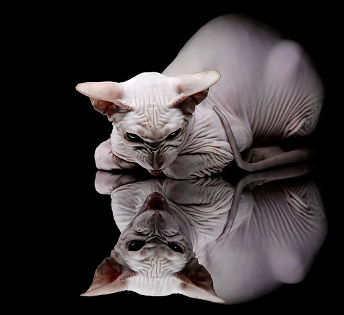 开云体育下载官网-现代技术改变乒乓球发球与接球战术，研究乒乓球的接发球技术