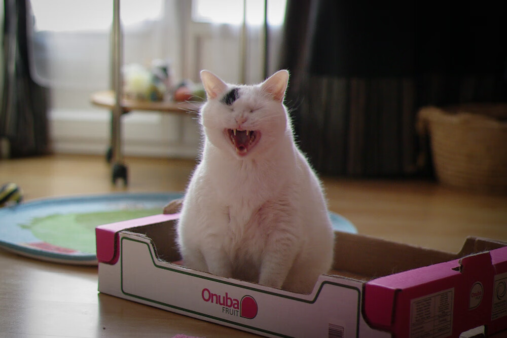 开云官网登录-瑞典队乒乓战术：精准变化与策略性发球，瑞典乒乓球国家队