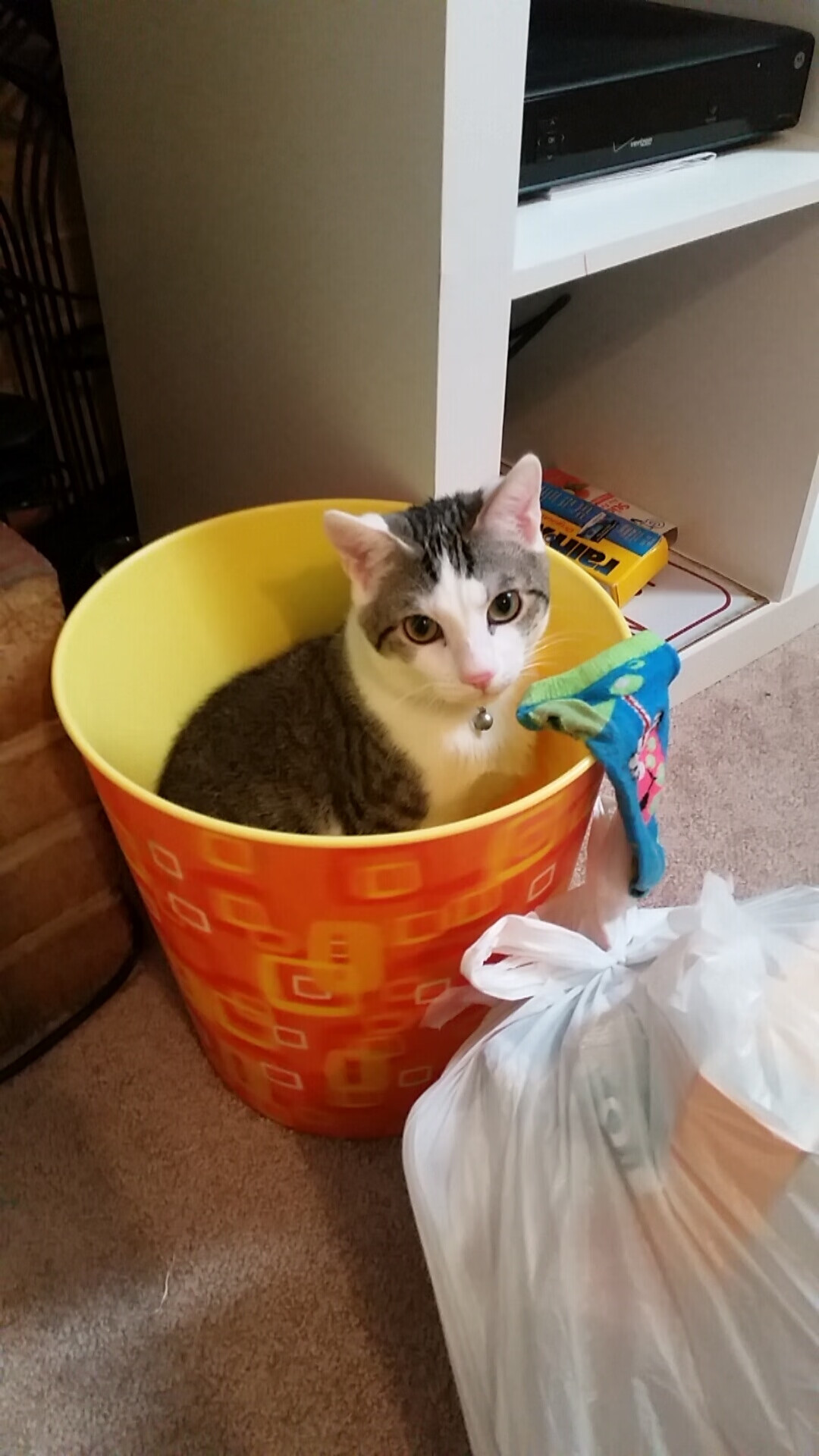 开云体育网页入口-职业联赛竞争结构需优化调整，职业联赛的要求