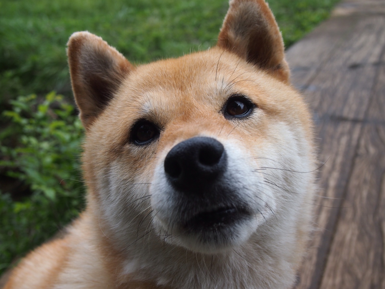 开云体育官方-“马科斯·莫奇的速度与力量，成为阿根廷美洲狮队防守的坚实保障”