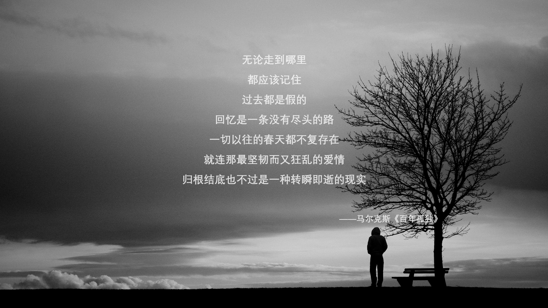 开云体育网页版-世界杯历史时刻：那些永载史册的经典战役，世界杯历届精彩比赛